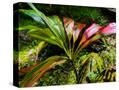 Stretched Canvas