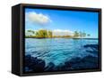 Canvas Black