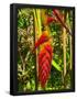 Essential Black