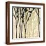 Brown Frame
