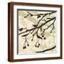 Brown Frame