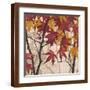 Brown Frame