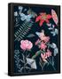 Essential Black