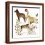 Brown Frame