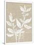 Gramercy White