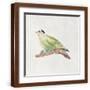 Brown Frame