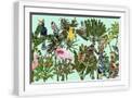 White Frame