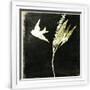 Gramercy White