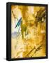 Essential Black