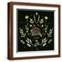 Brown Frame