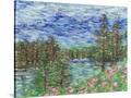 Stretched Canvas