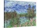 Stretched Canvas