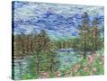 Stretched Canvas