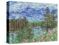 Stretched Canvas