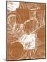 Wood Mount