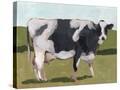 Stretched Canvas