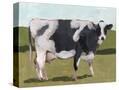 Stretched Canvas