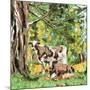 Wood Mount