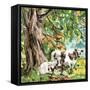 Canvas Black
