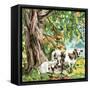 Canvas Black