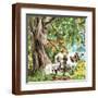 Brown Frame