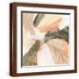 Brown Frame