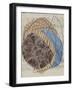 Chelsea Black