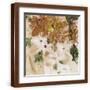 Brown Frame