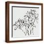 Brown Frame
