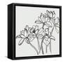 Canvas Black