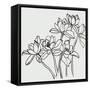 Canvas Black