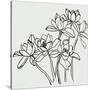 Stretched Canvas