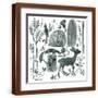Brown Frame
