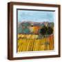 Brown Frame
