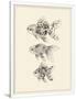 Gramercy White