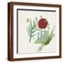 Brown Frame