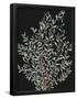 Essential Black