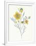 Gramercy White