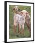 Chelsea Black