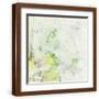 Brown Frame