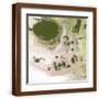 Brown Frame