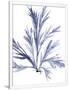Gramercy White