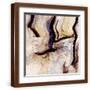 Brown Frame