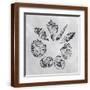 Brown Frame