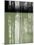 Wood Mount
