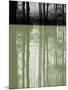 Wood Mount