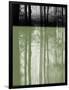 Gramercy Black