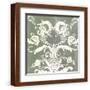 Brown Frame