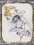 Laminate
