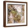 Brown Frame